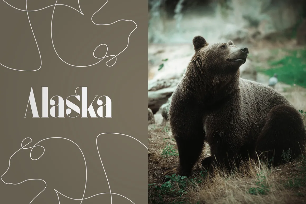 Inure - Serif Typeface + More
