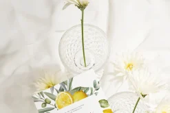 ITALIAN VIBE Mediterranean Wedding