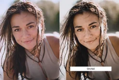 20 Ivory Lightroom Presets & LUTs