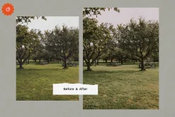8 Jardin Lightroom Presets