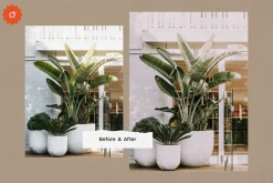 8 Jardin Lightroom Presets