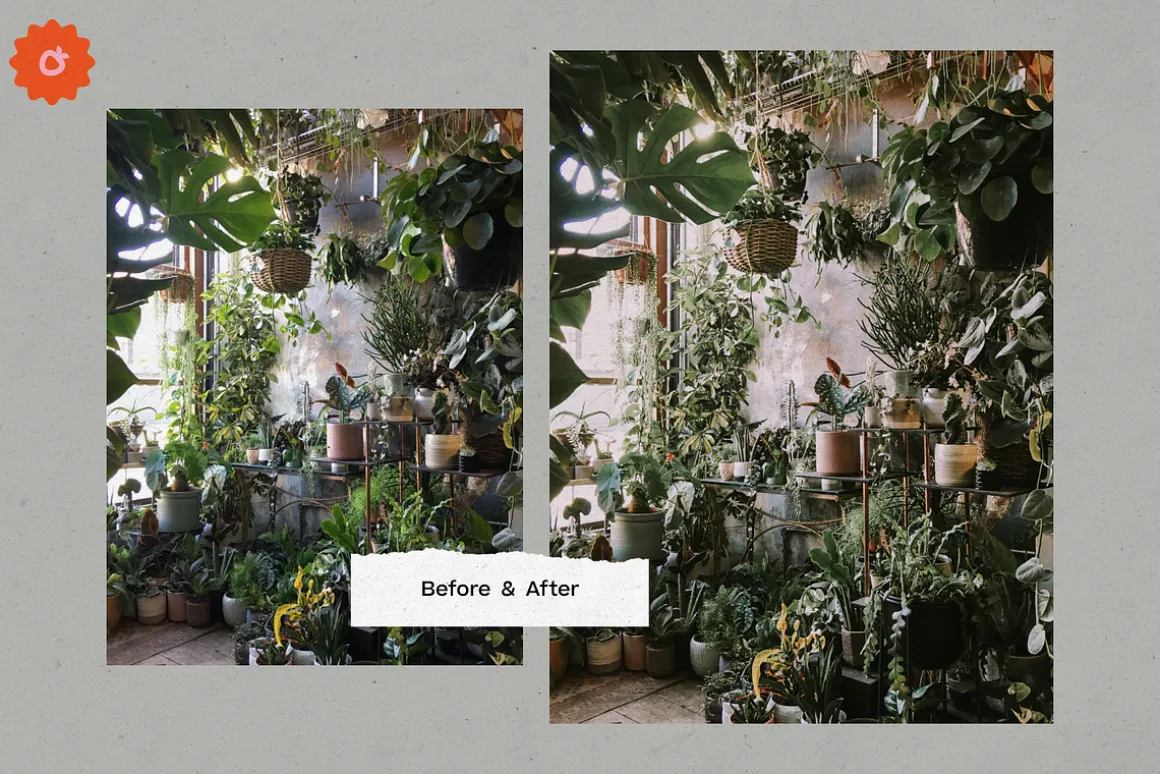 8 Jardin Lightroom Presets