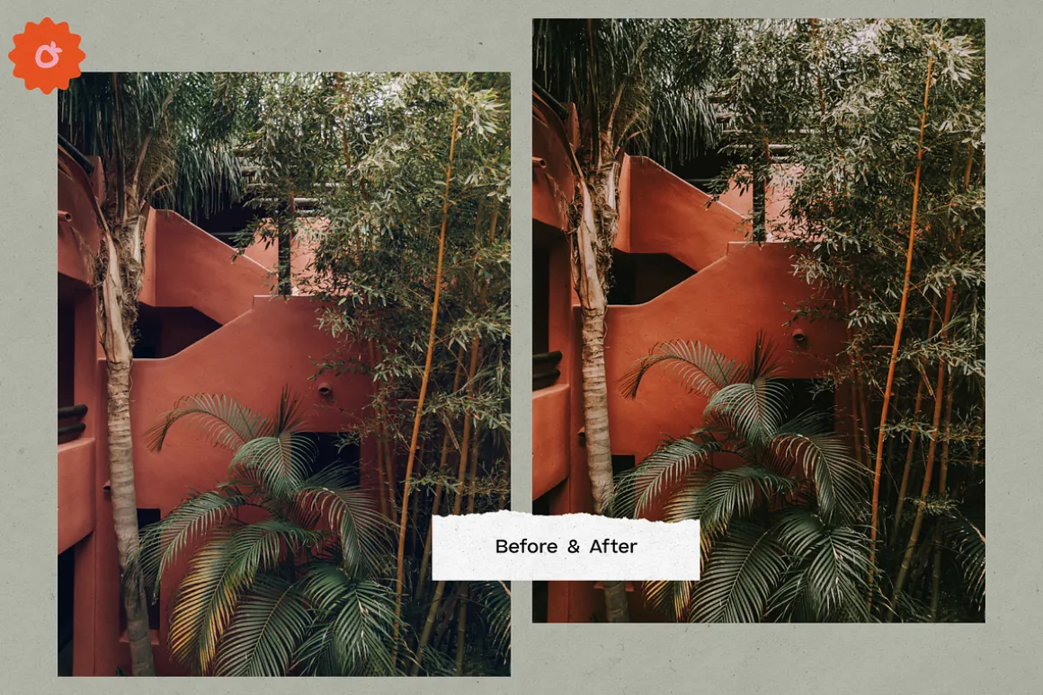 8 Jardin Lightroom Presets