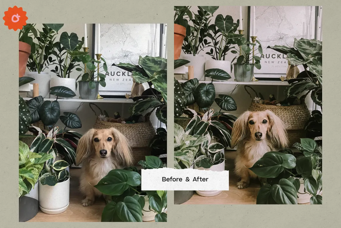 8 Jardin Lightroom Presets
