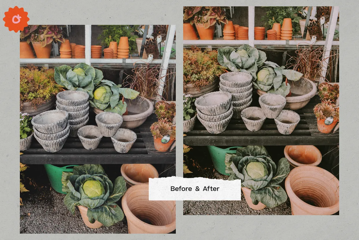 8 Jardin Lightroom Presets