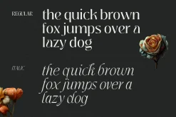 Jedira - Modern Branding Font