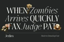 Jedira - Modern Branding Font