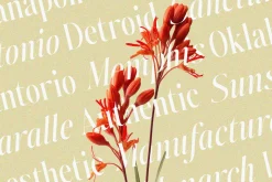 Johannes Keppler Family (18 Fonts)