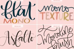 Joyful Procreate Brush Calligraphy