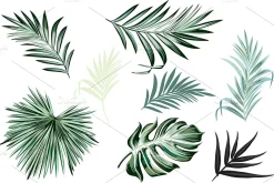 Jungle palm vector leaves set