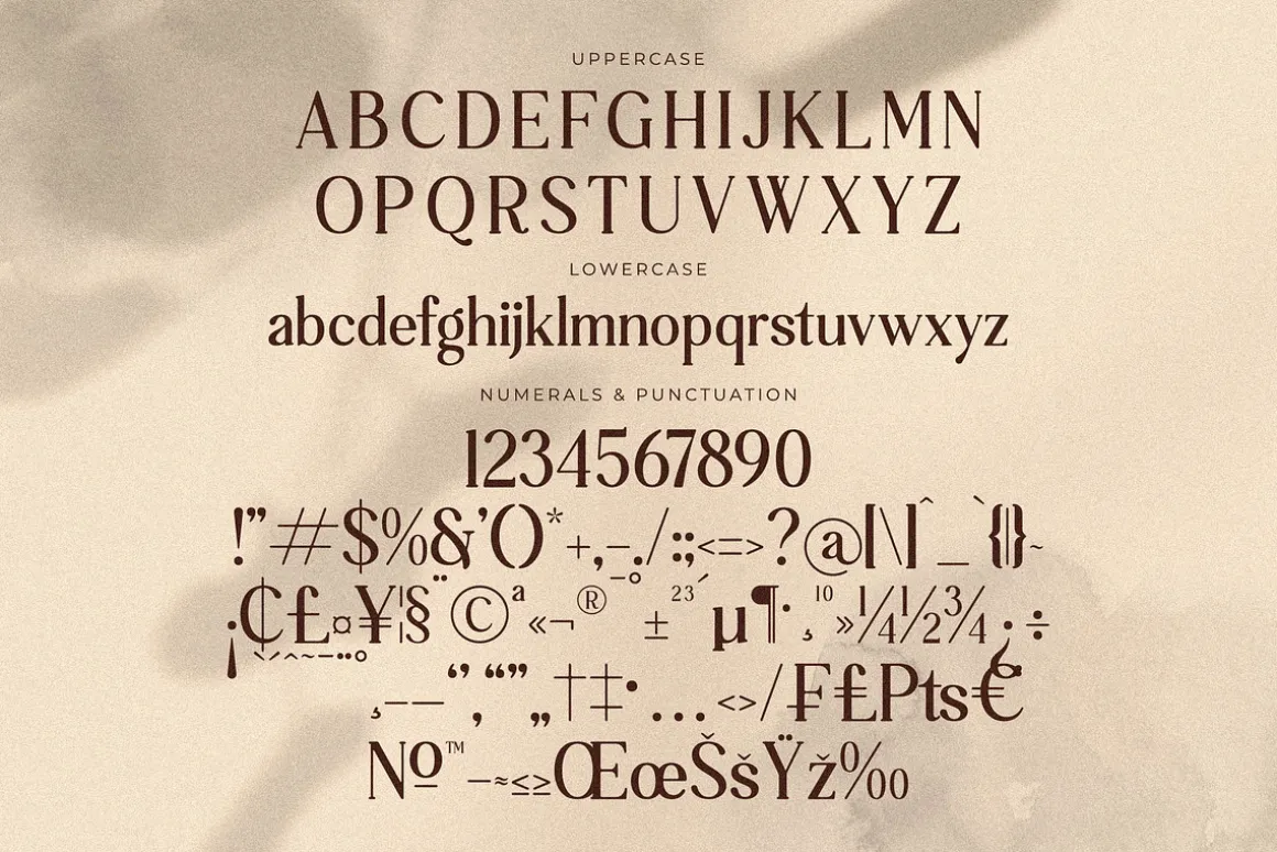Kelano Remora Stylish Modern Serif
