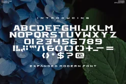 Kinrot Font