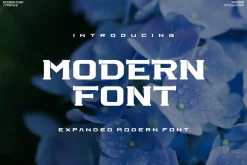 Kinrot Font