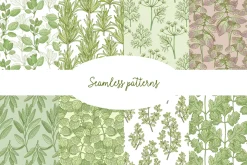 Kitchen herbs set