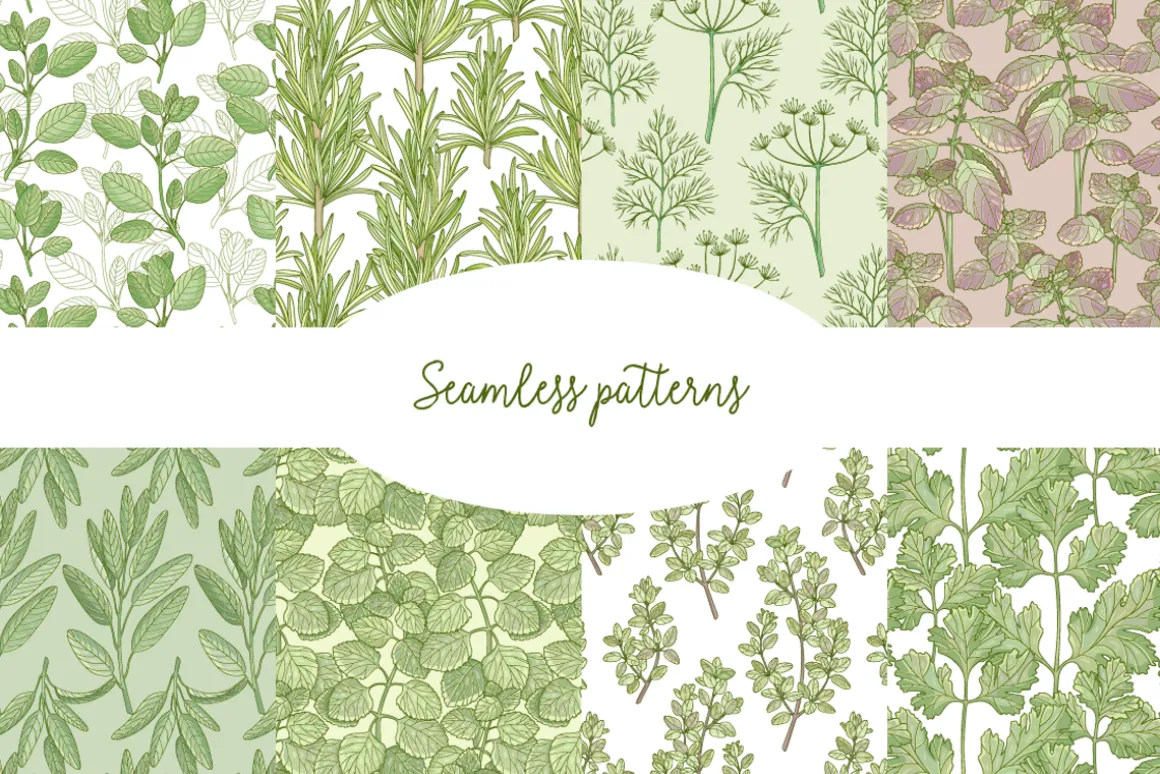 Kitchen herbs set