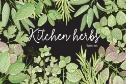 Kitchen herbs set