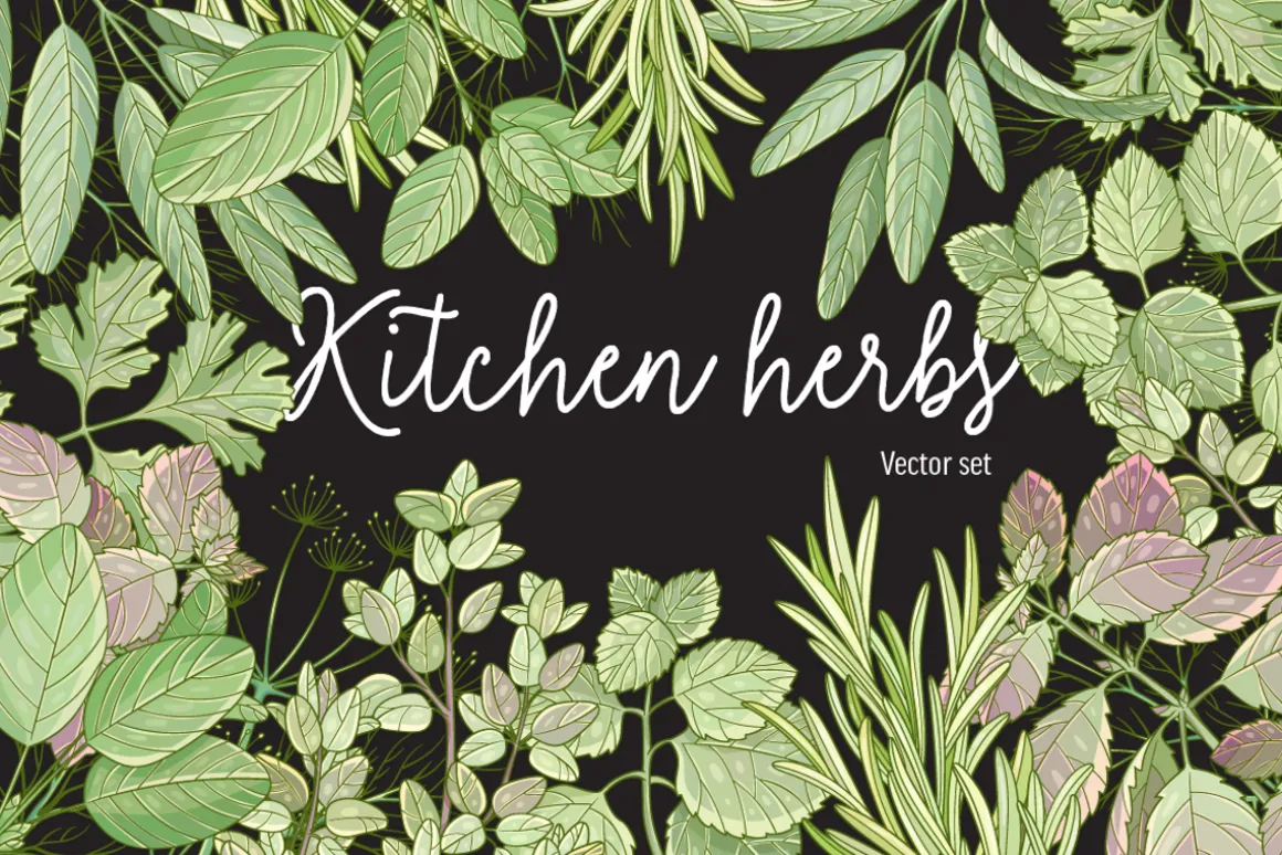 Kitchen herbs set