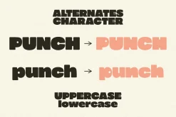 Knots Strong Bold Sans