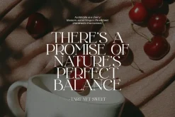 Kolins Modern Serif Font