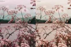10 Korean Lightroom Presets