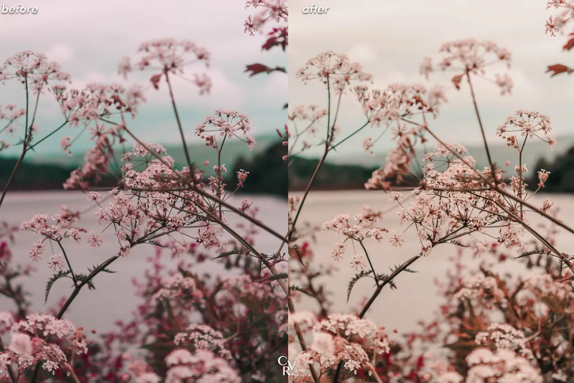 10 Korean Lightroom Presets