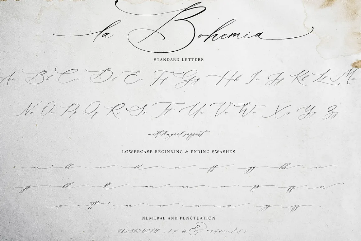 La Bohemia // Fine Art Calligraphy