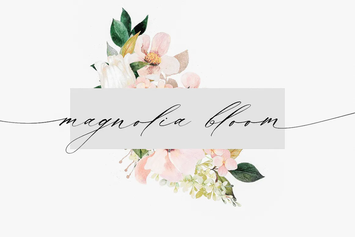 La Bohemia // Fine Art Calligraphy