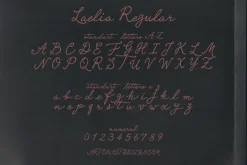 Laelia Font Family | Elegant Script