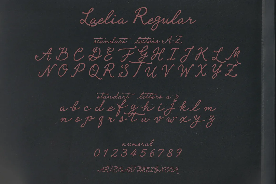 Laelia Font Family | Elegant Script
