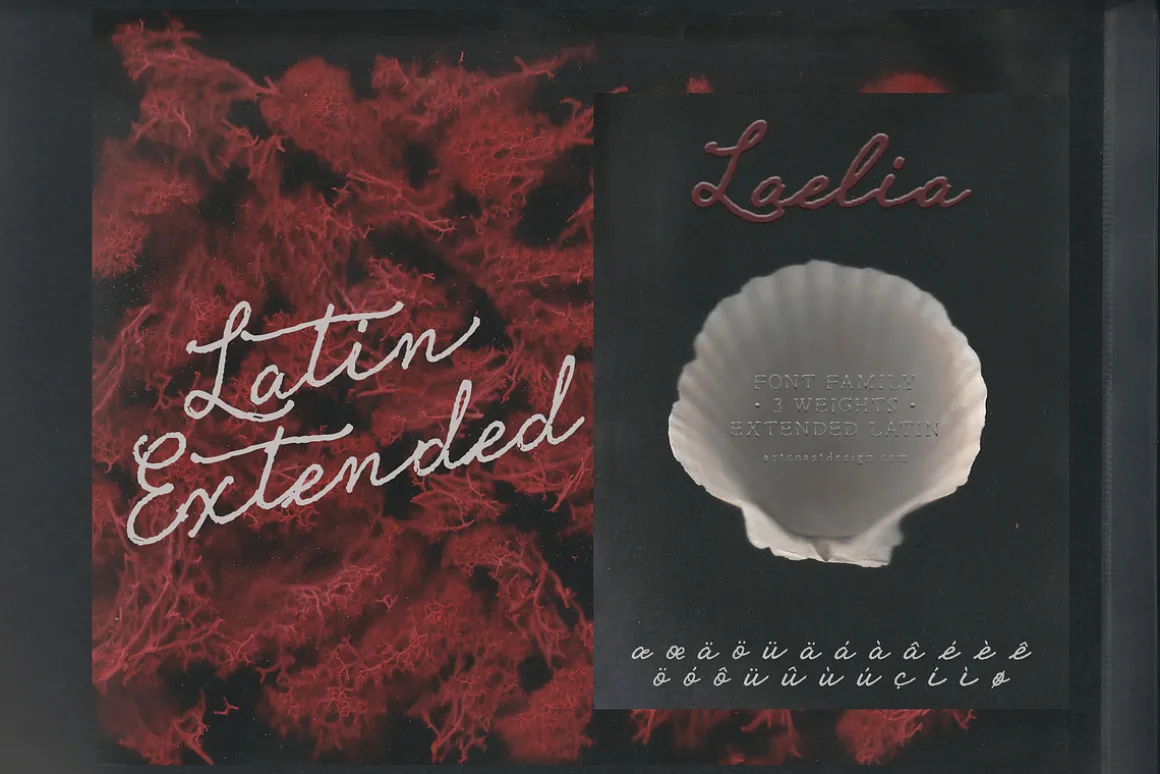 Laelia Font Family | Elegant Script