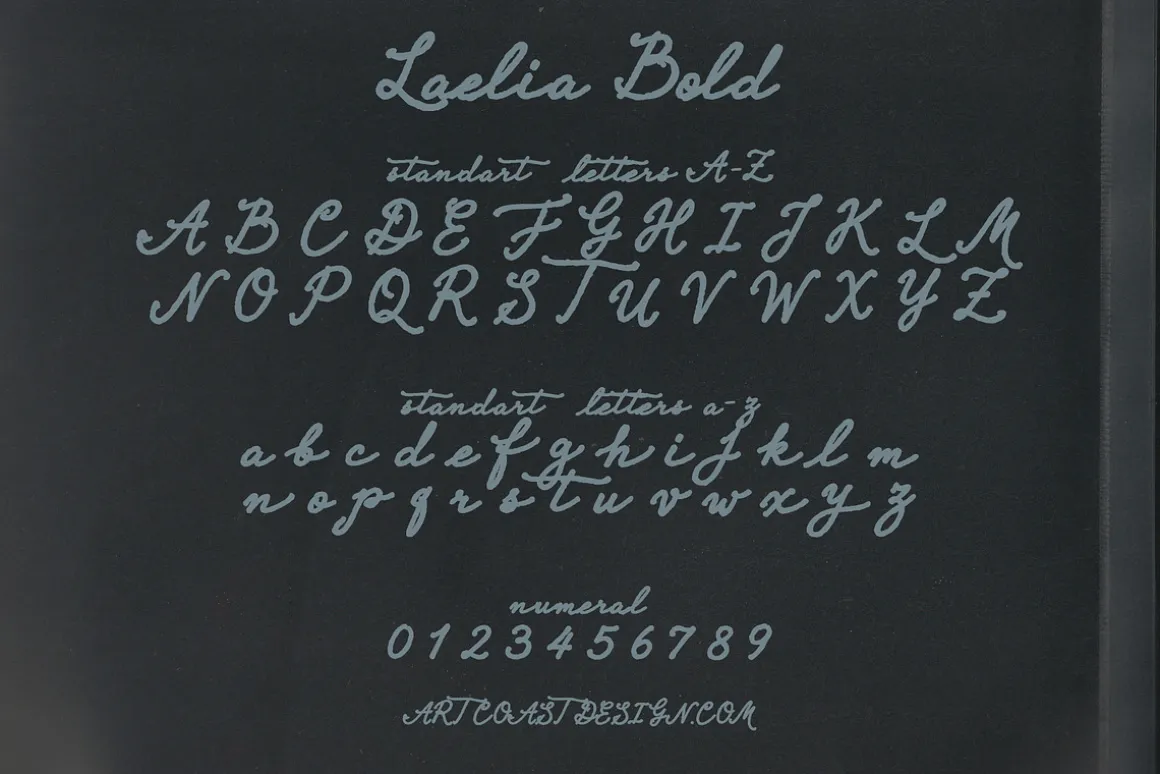 Laelia Font Family | Elegant Script