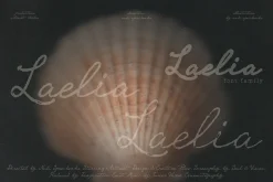 Laelia Font Family | Elegant Script