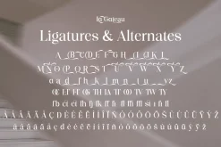 La Gateau - Elegant & Stylish Font