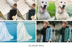 La Joliet Lightroom Presets Mobile