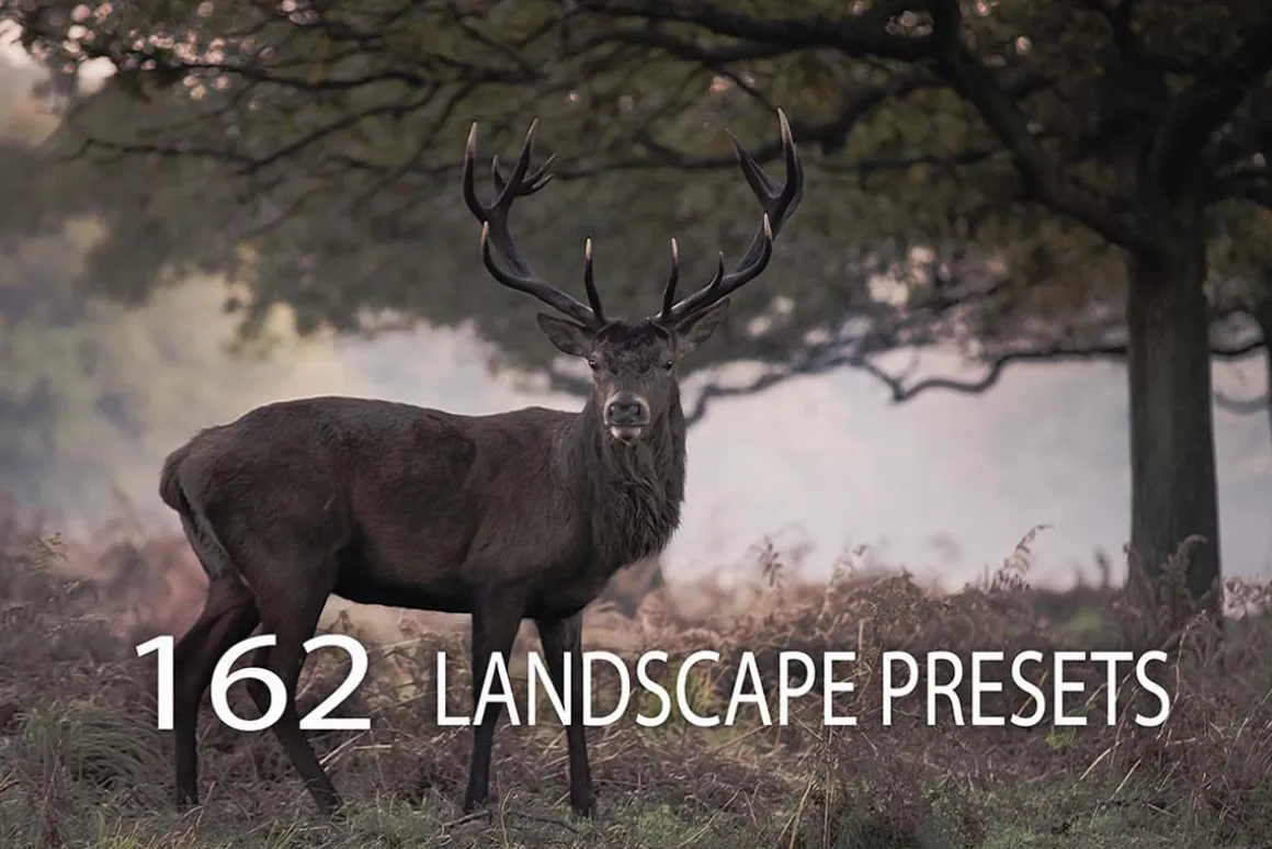 162 Landscape Presets Bundle