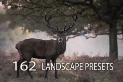162 Landscape Presets Bundle