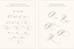 La Rumba - Modern Calligraphy Font