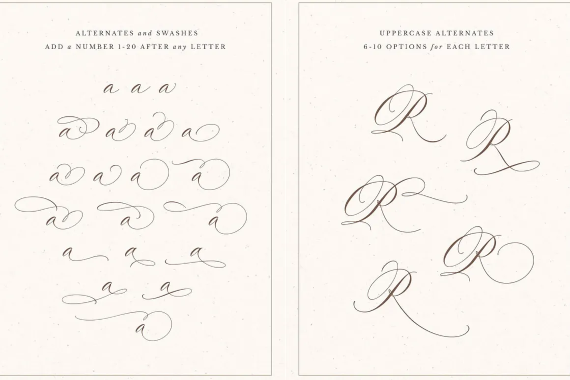 La Rumba - Modern Calligraphy Font