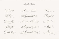 La Rumba - Modern Calligraphy Font