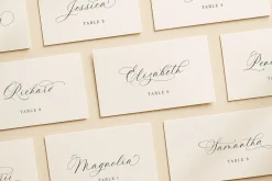 La Rumba - Modern Calligraphy Font