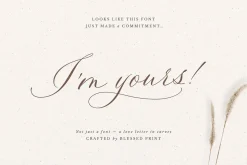La Rumba - Modern Calligraphy Font