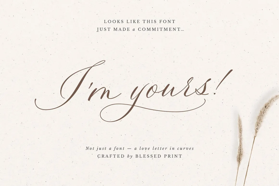 La Rumba - Modern Calligraphy Font
