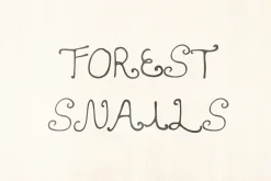 La Siren Hand Drawn Display Font
