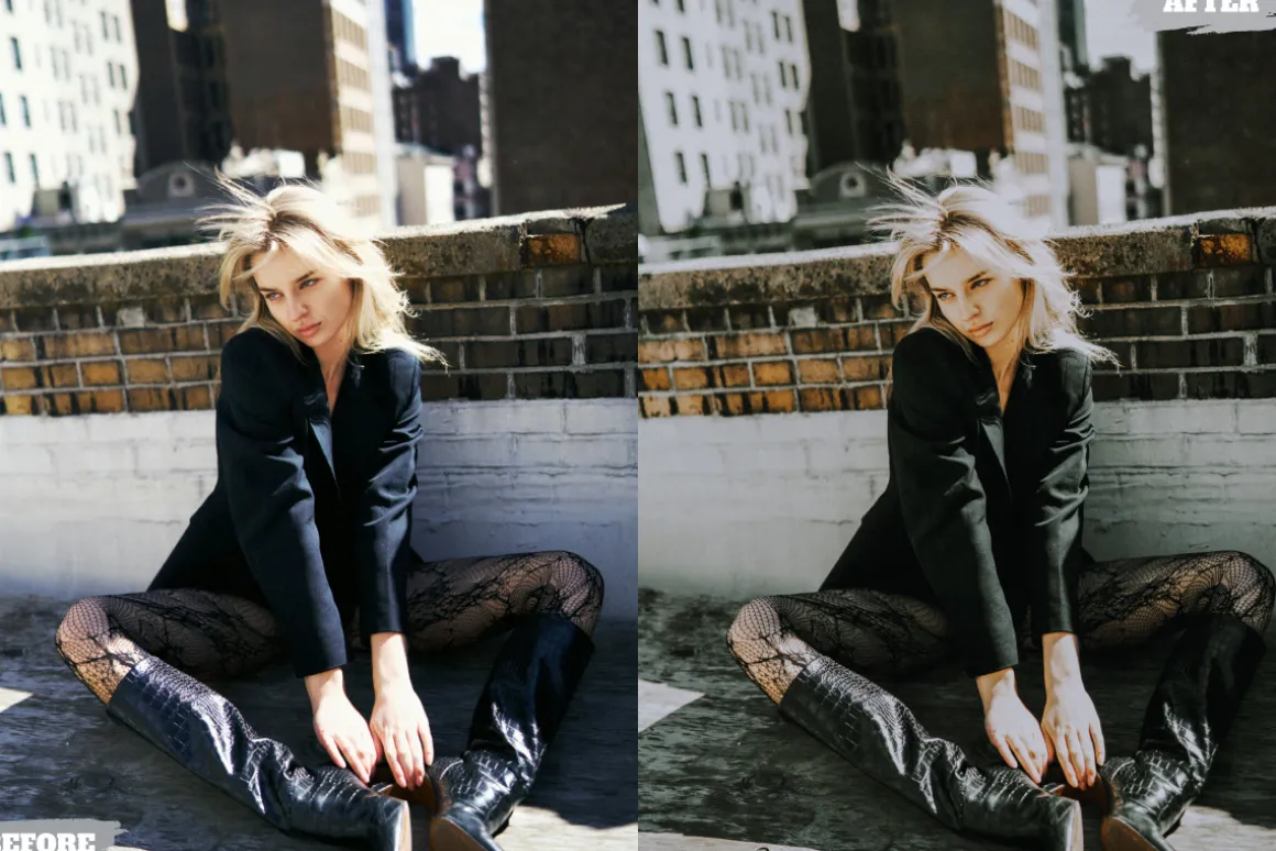 Leica Lightroom Presets