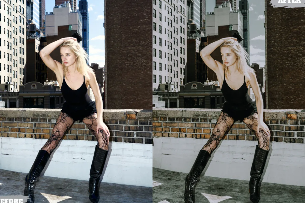 Leica Lightroom Presets