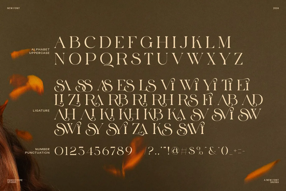 Leina Savira Stylish Serif Font