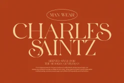 Leina Savira Stylish Serif Font
