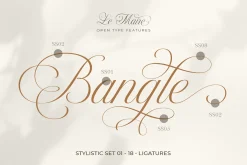 Le Maire - Modern Cursive Script