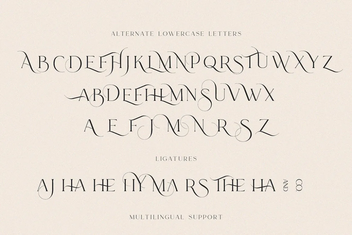 Le Major | Display Serif Font