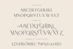 Le Major | Display Serif Font